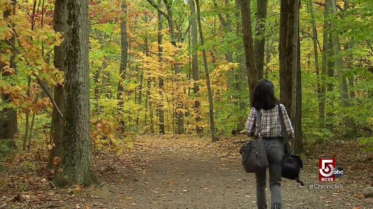 Hike in the heart of the Pioneer Valley