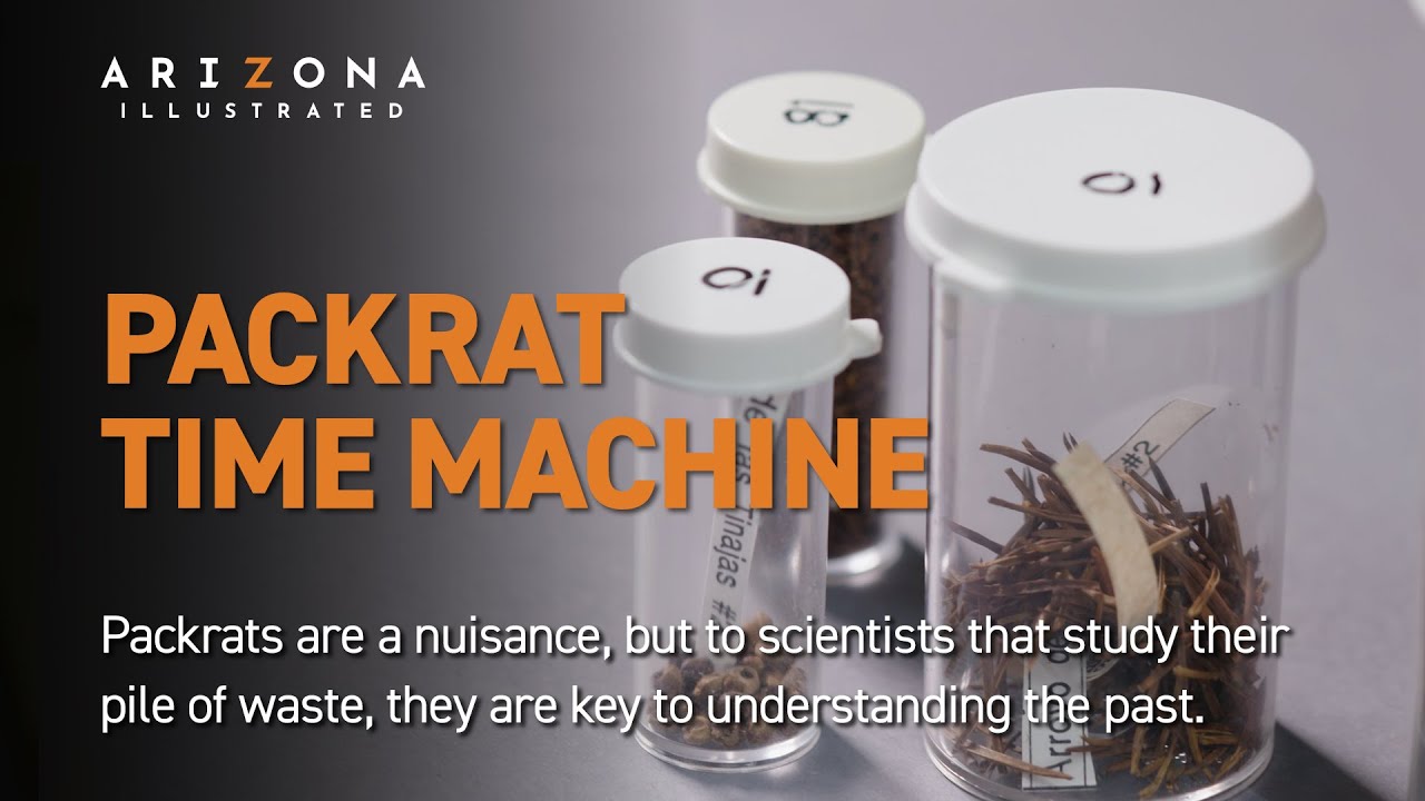 Packrat Time Machine