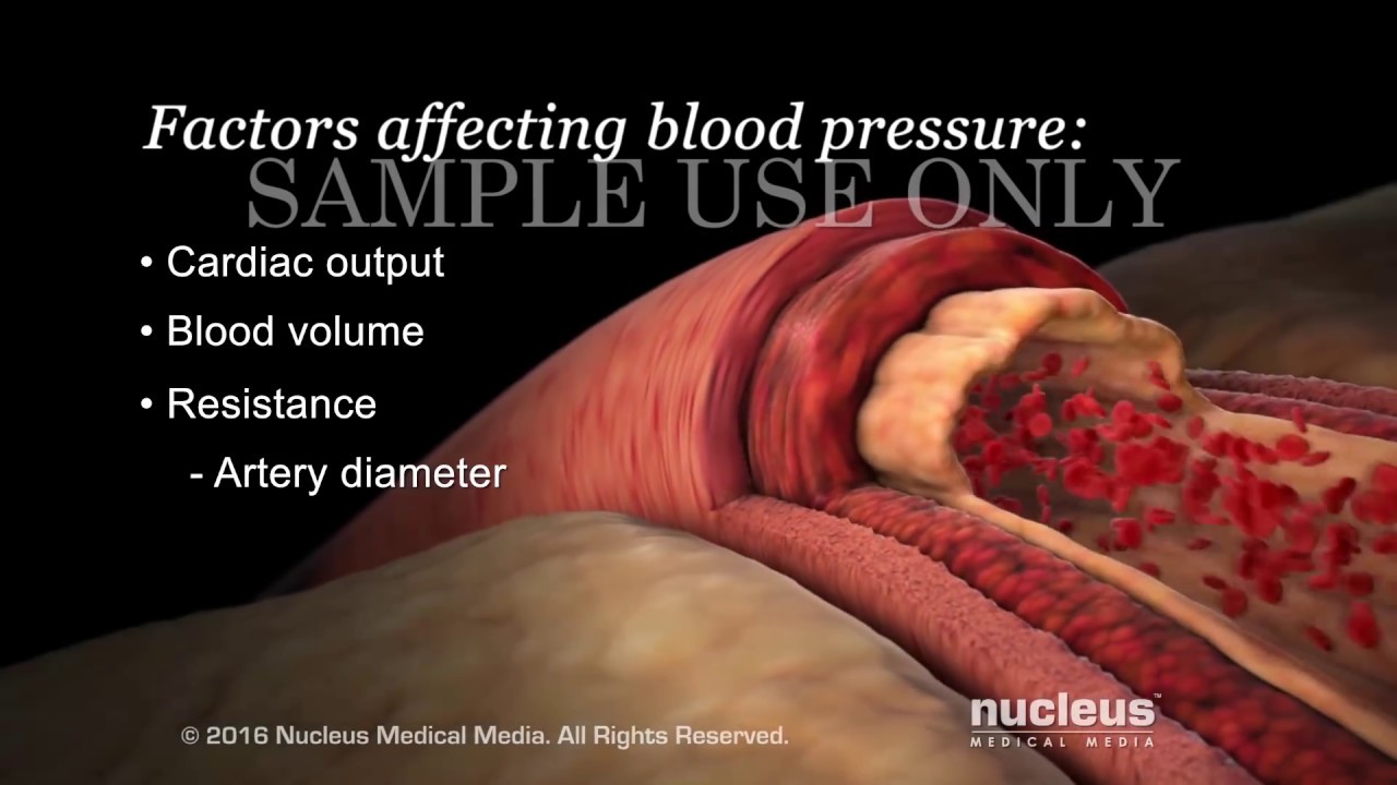 Understanding Basic Blood Pressure Control | Nucleus Health