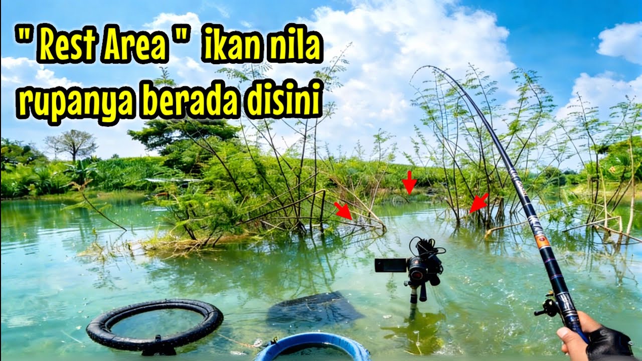 KETEMU‼️ KELAMPIS BERDURI TERNYATA REST AREA IKAN NILA || mancing ikan nila di waduk sangiran
