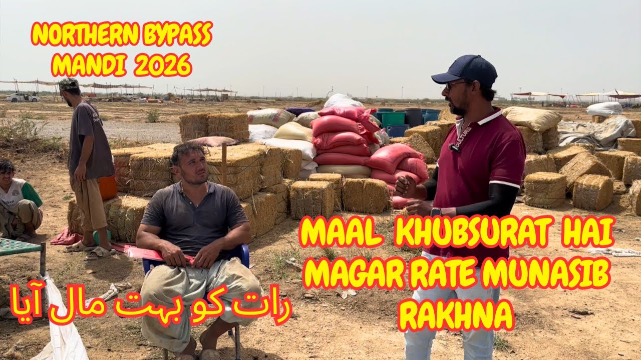 Rate Munasib Rakhna. Raat Ko Kafi Maal Aya. Northern Bypass Mandi 2026