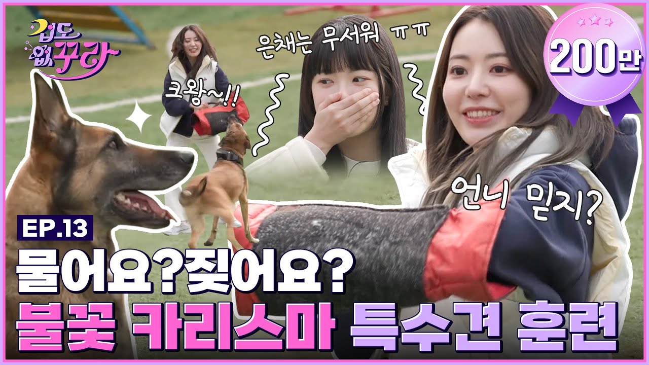 [SUB] 역대급 쫄보 케미?! 사쿠라X은채 특수견 훈련 도전!🐶🔥 [겁도 없꾸라] EP.13