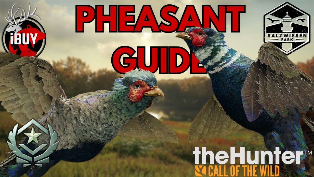Great One PHEASANT Hunting Made EASY | theHunter: Call Of The Wild