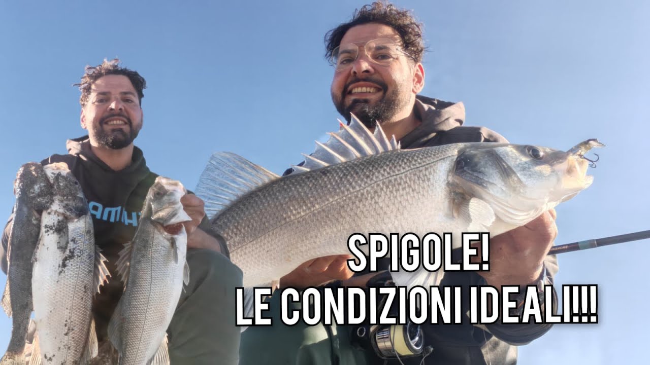 TRUCCHI e DETTAGLI per pescare le SPIGOLE a SPINNING
