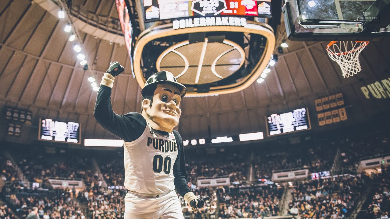 Sandstorm Dance | Purdue vs. Yale | 11/11/2024