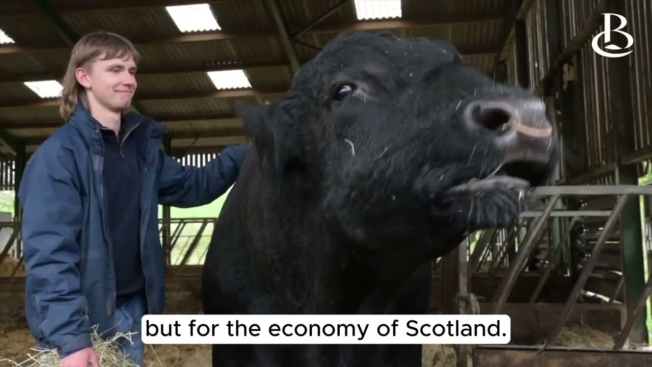Landbased and Rural Skills Video 2025