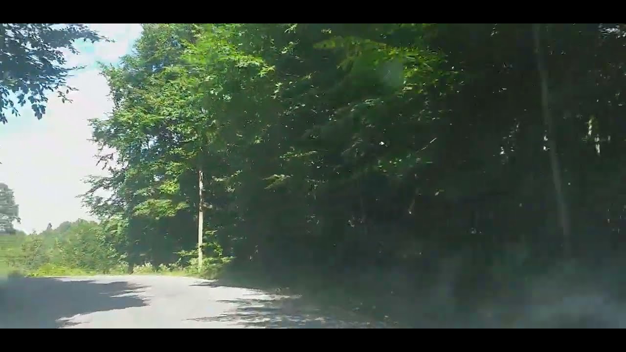 alaplı gümeli belediyesi ve ormanlı cuma karakavuz koyu dogada tek basina. dogada yasam.köy hayatı