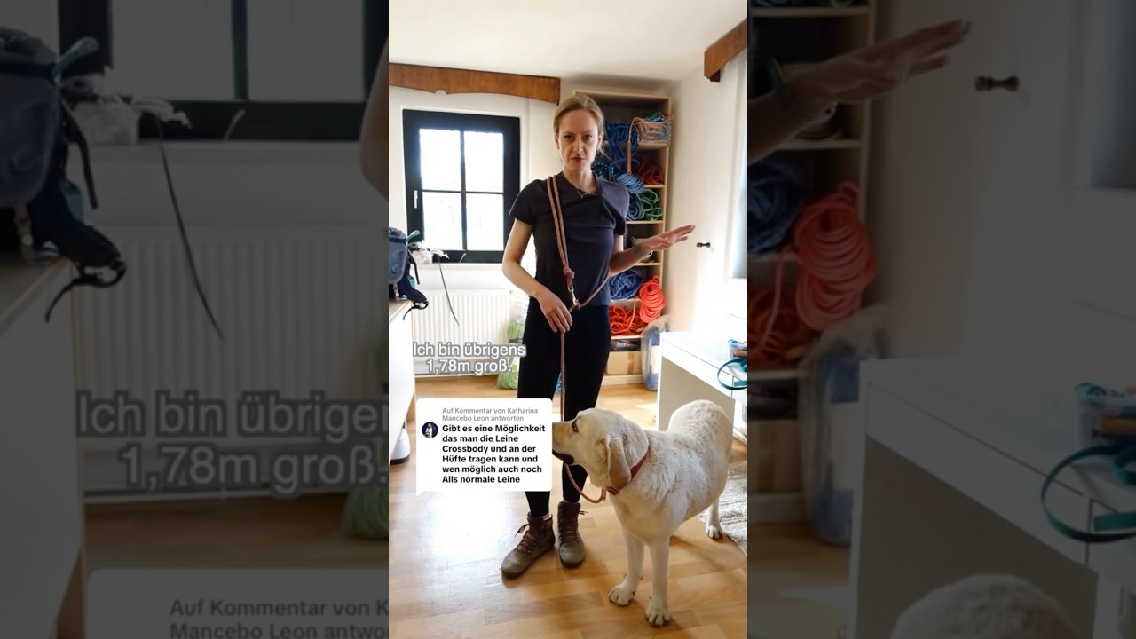 Hundeleine 3 in 1