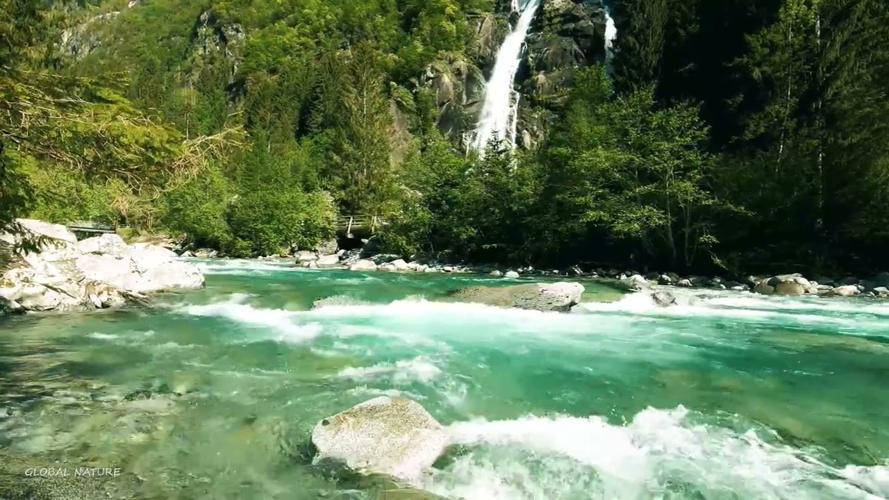 Global nature video 2 | globalnature
