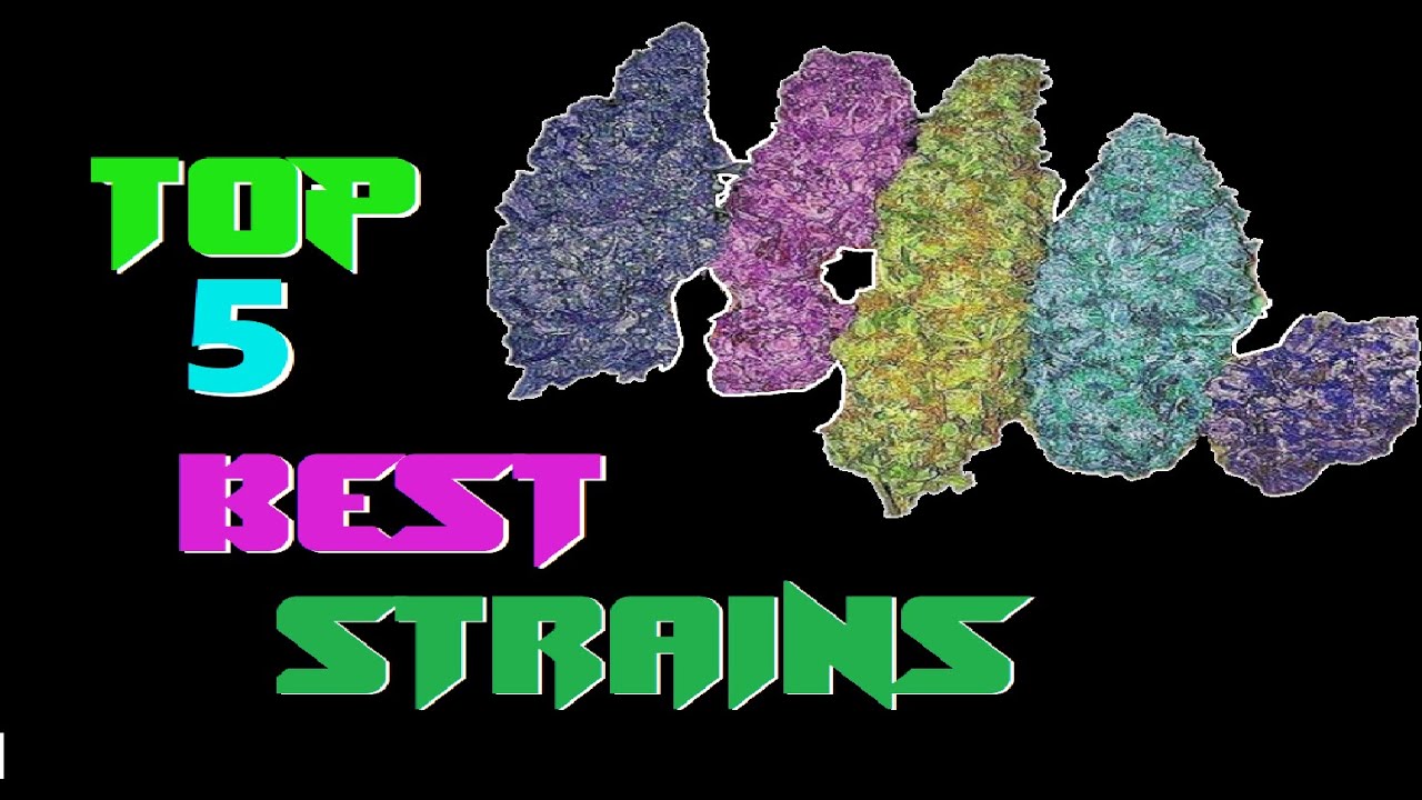 Top 5 Best Cannabis/Kush Strains, Best strains, Best weed #bestweed #top5