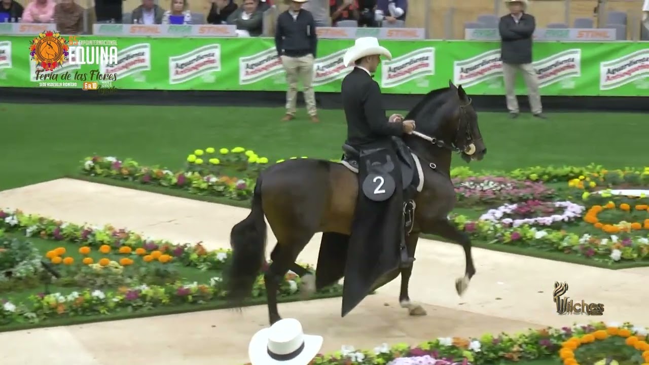 ATHOS DE VILLA MARTA, GRAN CAMPEON RESERVADO TROTE Y GALOPE  FERIA DE LAS FLORES 2024