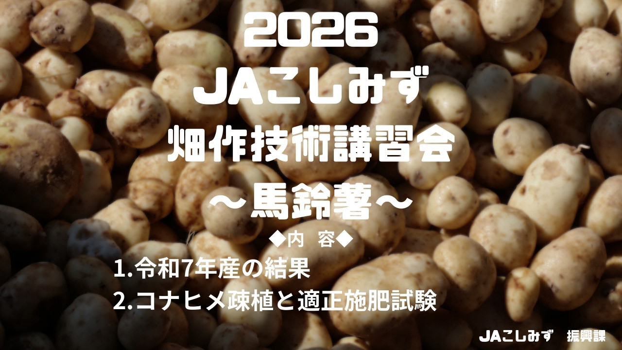 【馬鈴薯①】畑作技術講習会