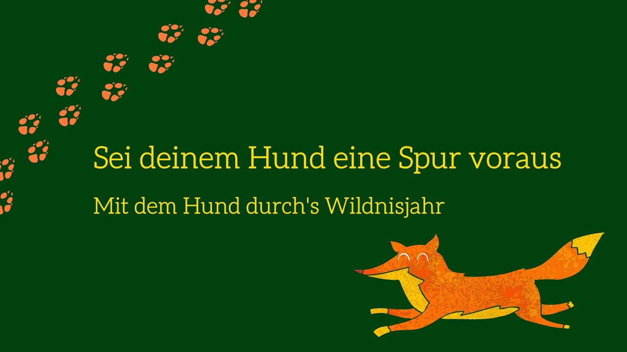 „Sei deinem Hund eine Spur voraus – Mit dem Hund durch's Wildnisjahr“