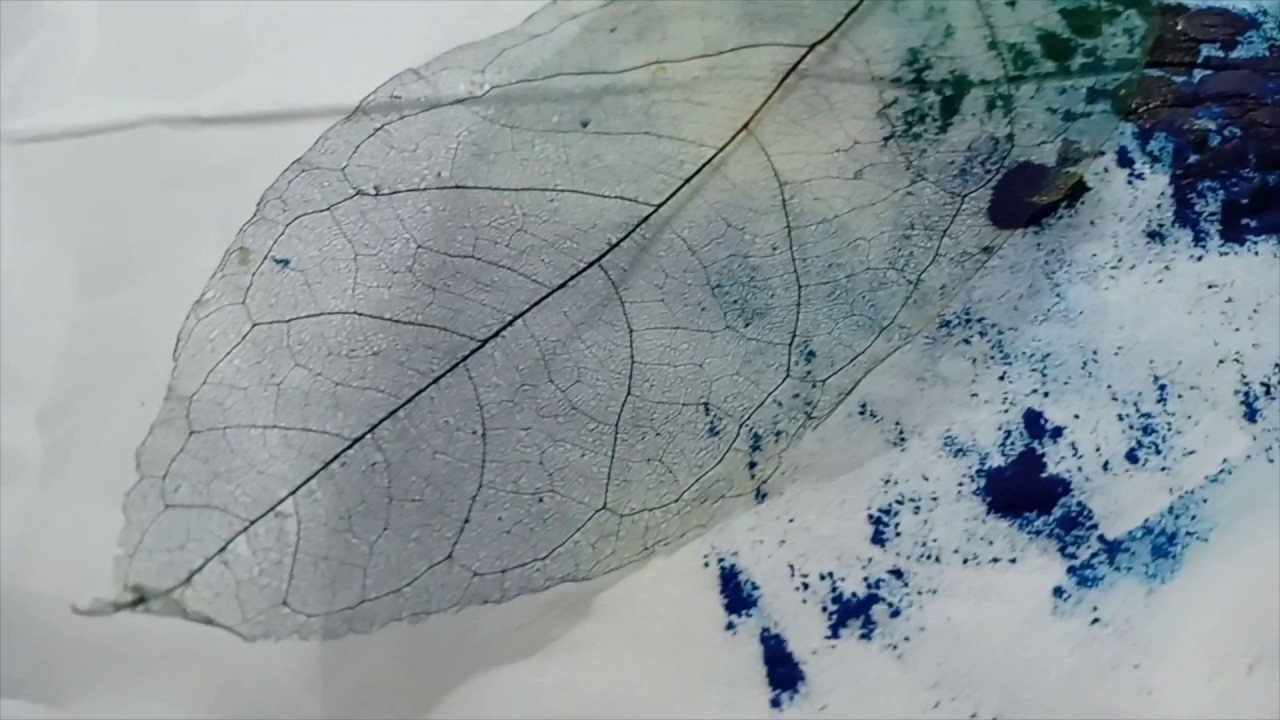 Cara Membuat Leaf Skeleton | SMA St. Theresia
