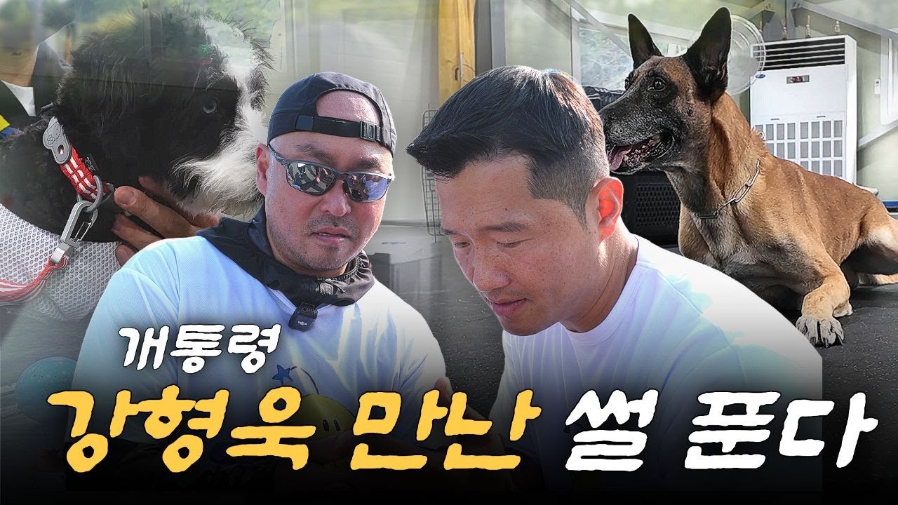 강아지를 키운다면 꼭 만나야 되는 사람들