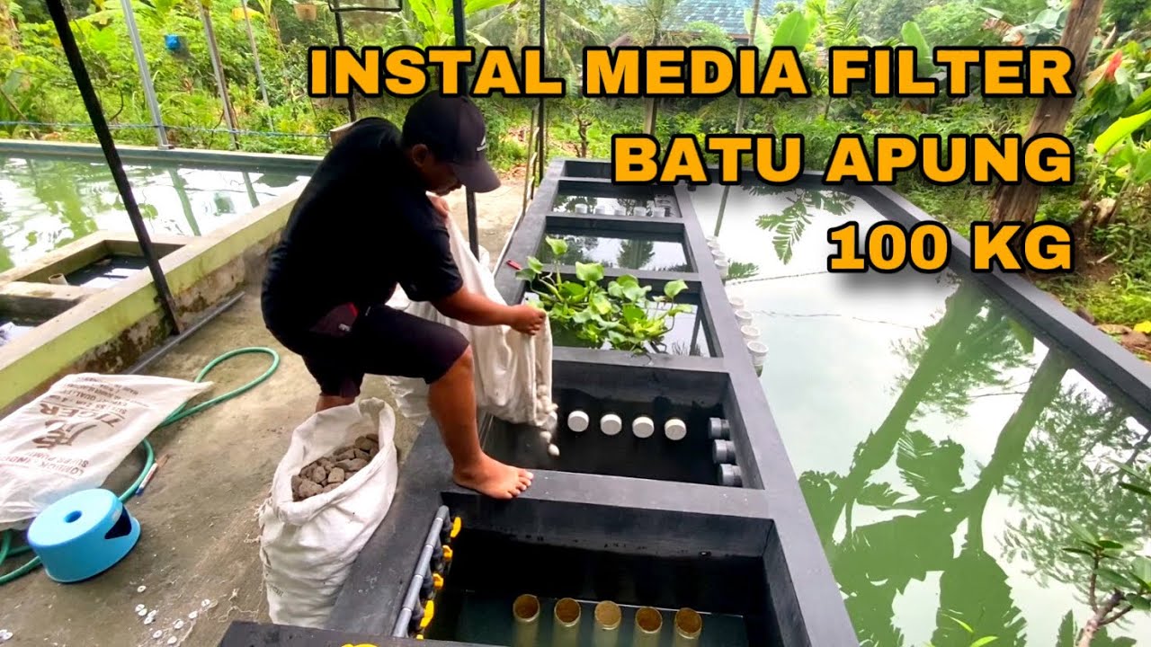 INSTAL MEDIA FILTER BIOLOGIS BATU APUNG 100 KG - KOLAM PEMBESARAN NILA SISTEM RAS