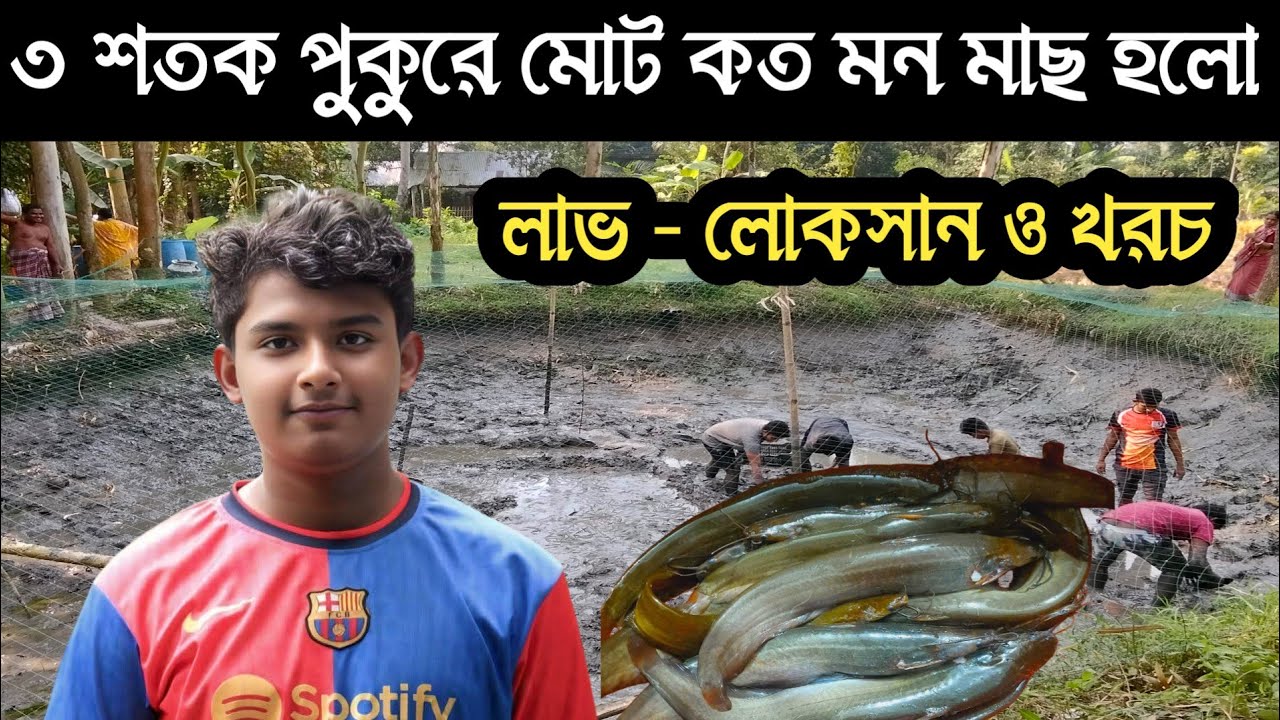 ৩ শতক জায়গায় শিং মাছ উৎপাদন || আয় - ব্যয় ও চাষ পদ্ধতি / catfish farming // বংশীএগ্রো