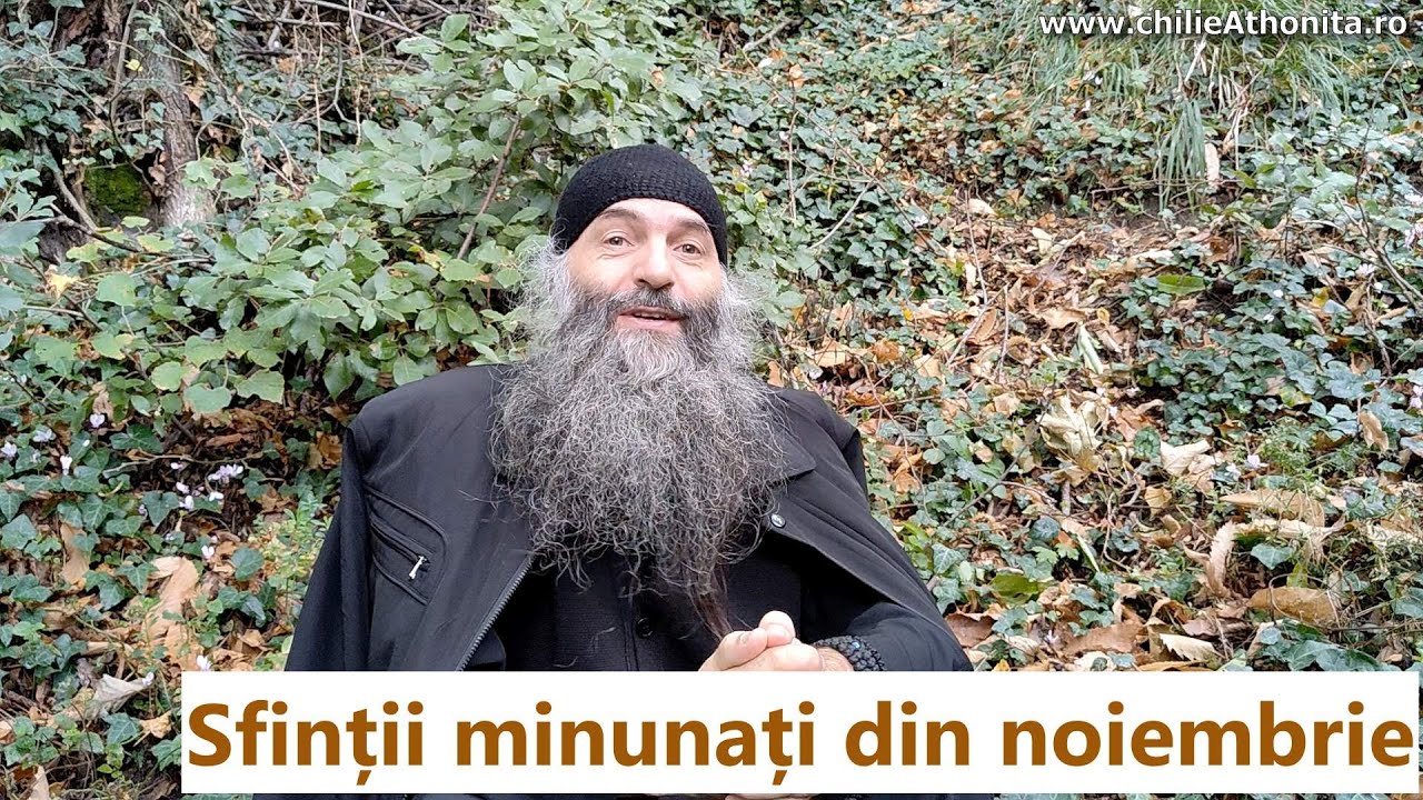 Sfinții minunați din noiembrie - p. Pimen Vlad