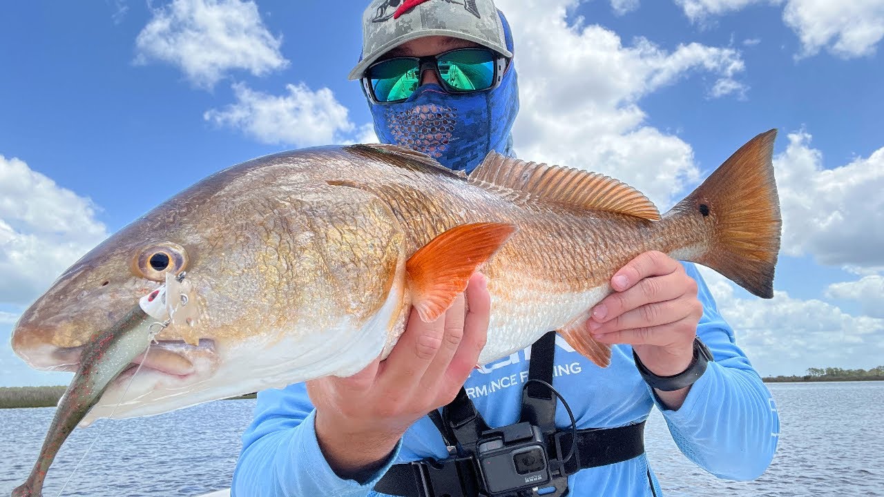 Exploring New Waters at Shired Island! Chatterbait Redfishing!
