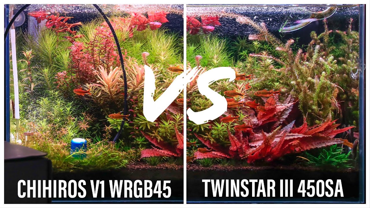 Chihiros v1 WRGB45 vs Twinstar III 450SA