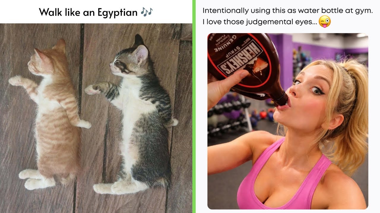 Funny Memes 118 | Walk like an Egyptian