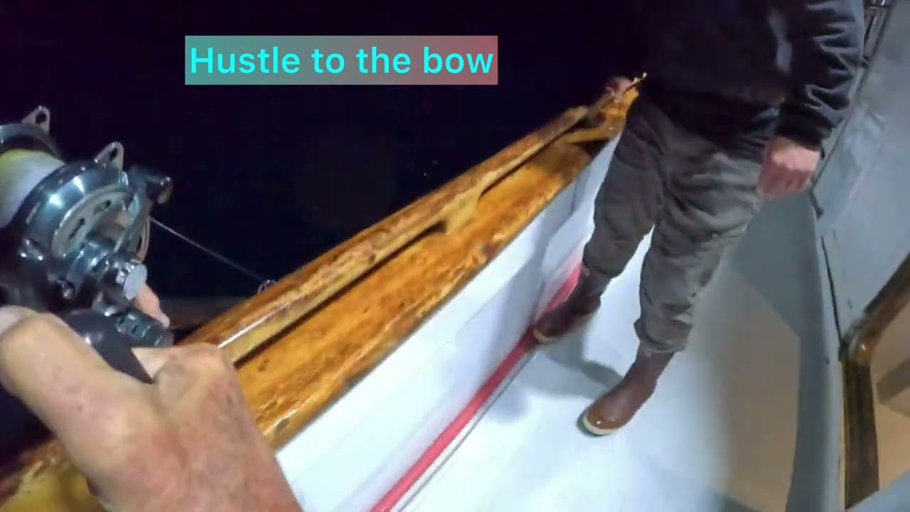 Pacific Queen bluefin tuna amazing night fishing jigs San Diego