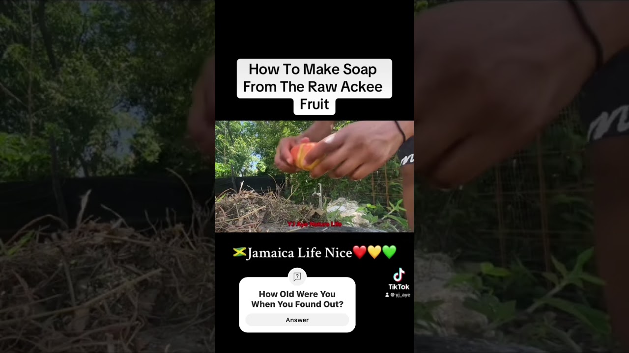 #ackeesoap #ackee #love #naturalsoap  #skincondition #skinhealth #international #ja #yjayenaturelife