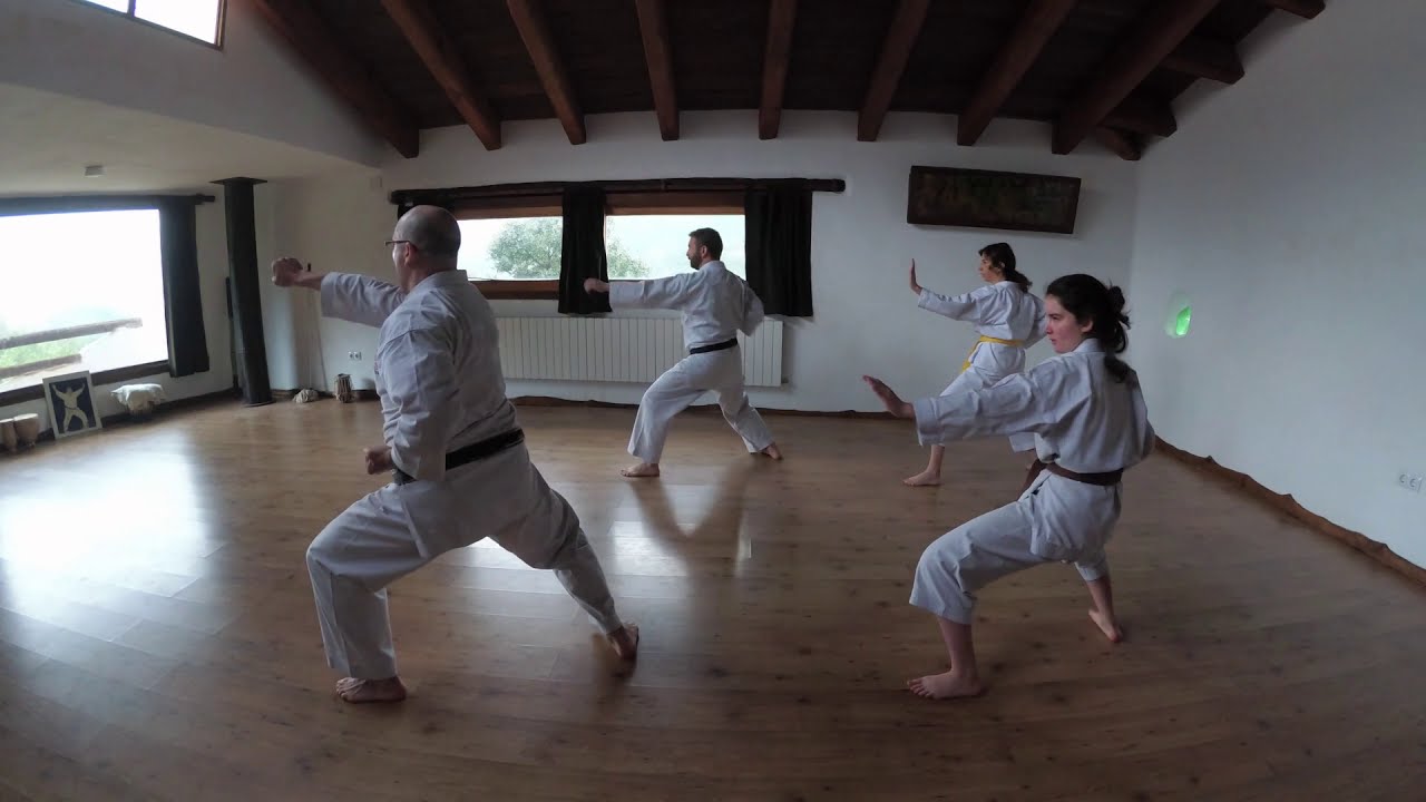 Práctica de Kase Ha Karate-do por Martín Fernández y algunos de sus alumnos.
