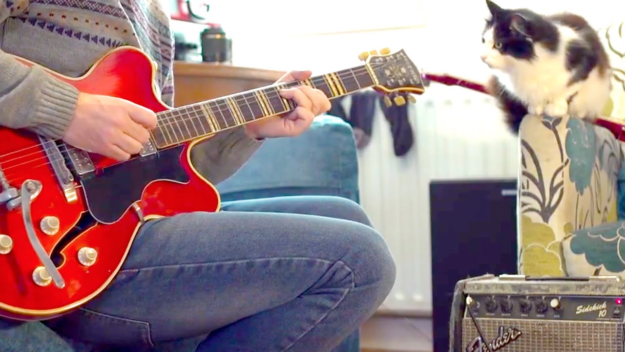 12-bar blues improvisation, Vintage '64 Hofner Verithin & Fender Sidekick Amp.