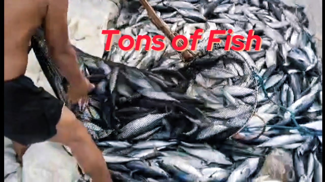 5 Days Fishing in the West Philippine Sea 
