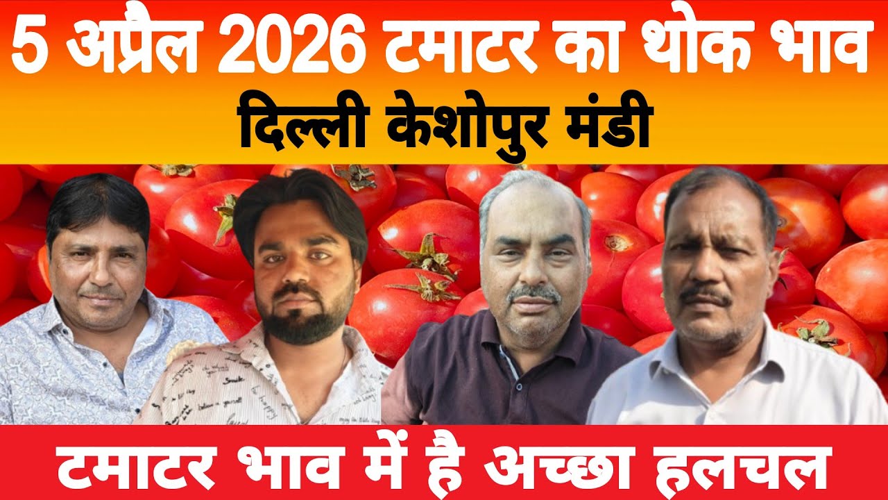 5 April 2026 Delhi 🍅 टमाटर होलसेल भाव | Keshopur Mandi | Today Tomato Rate #tamatar #tamatarmandi