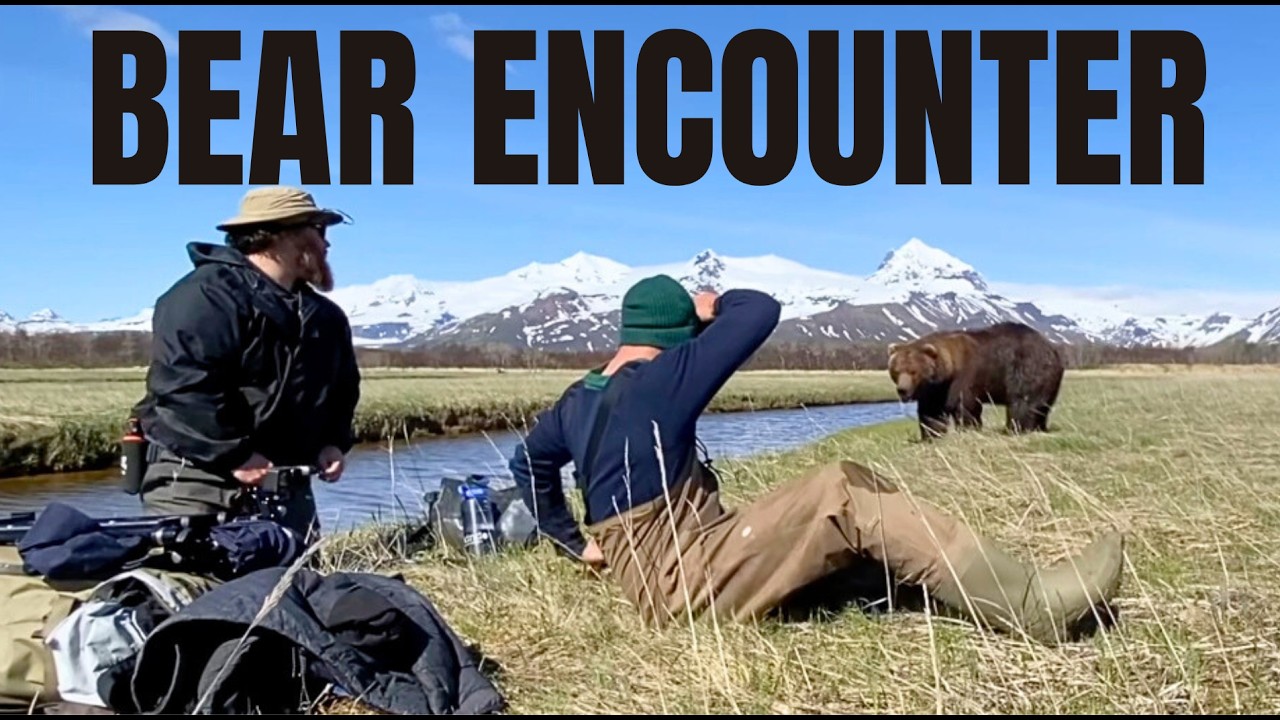 Close Encounter Filming Huge Male Brown Bears in Hallo Bay - Part 4