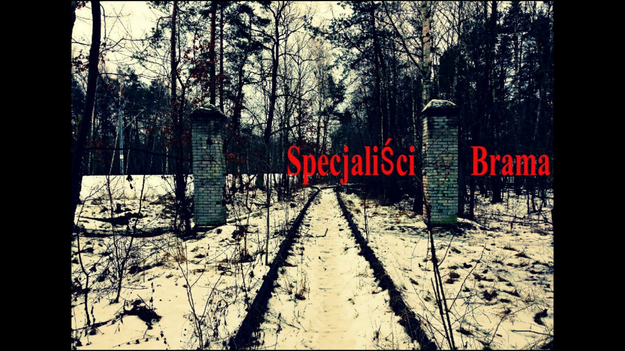 Specjaliści - Brama