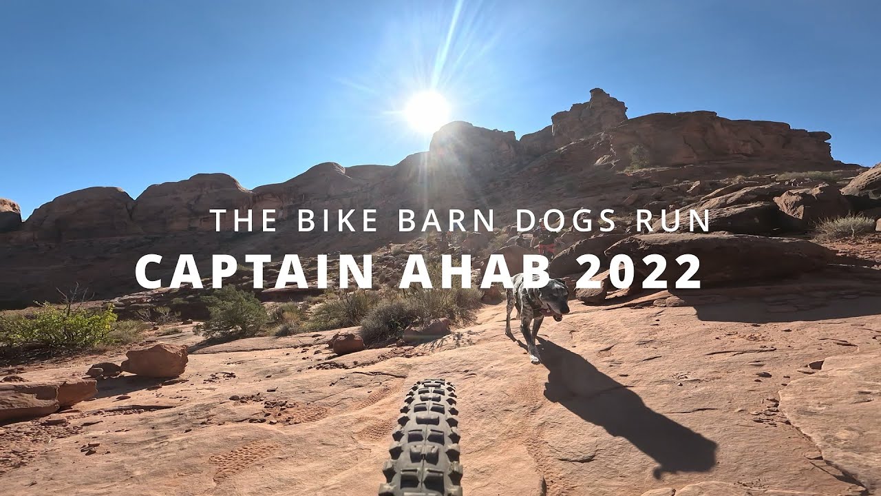 The Bike Barn dogs run Captain Ahab 2022