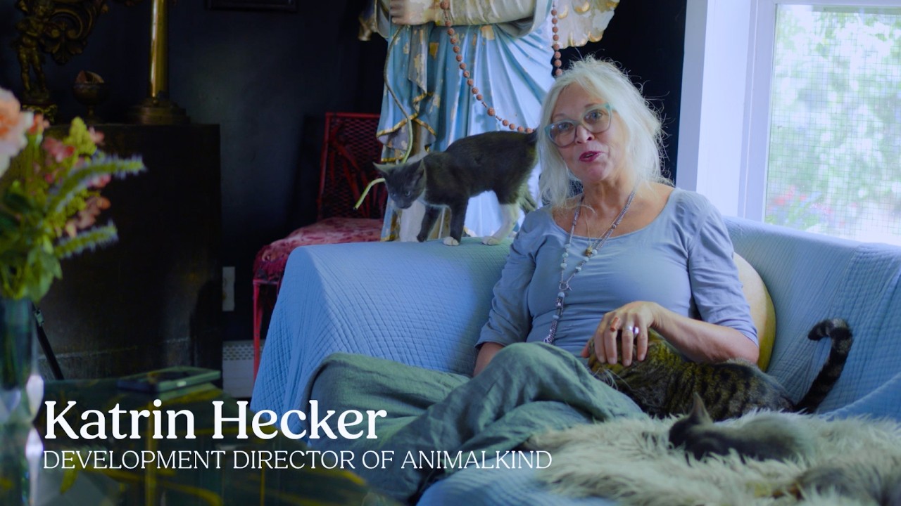 A History of AnimalKind