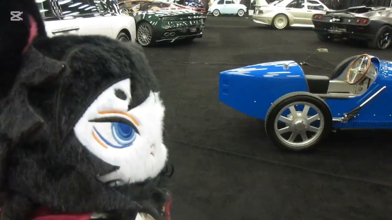 Demon Slayer Meows adventures.Ep 1: At the auto show