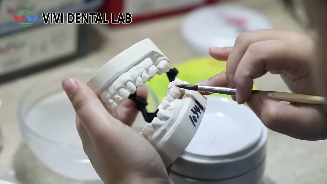 VIVI Dental Laboratory from China