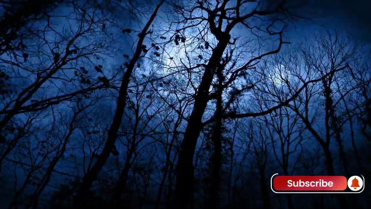 Wolf sound in Dark Night