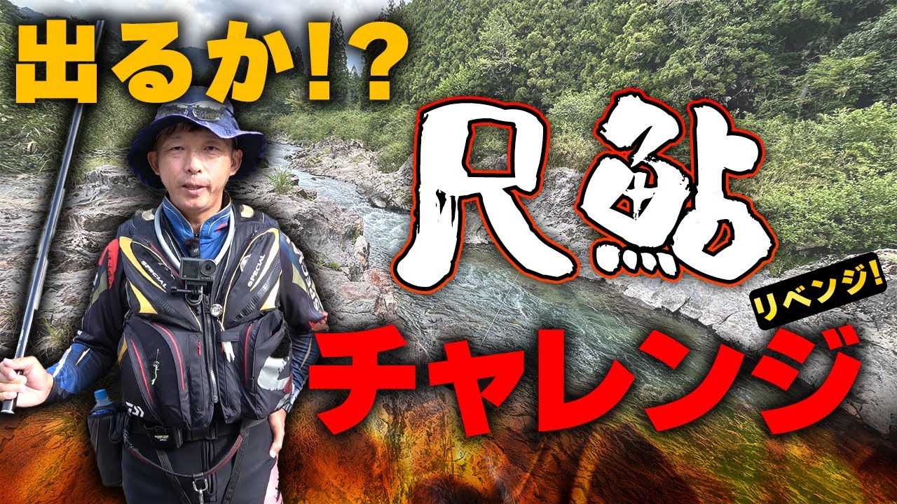 出るか!?尺鮎！！リベンジ尺鮎チャレンジ！【鮎釣り】