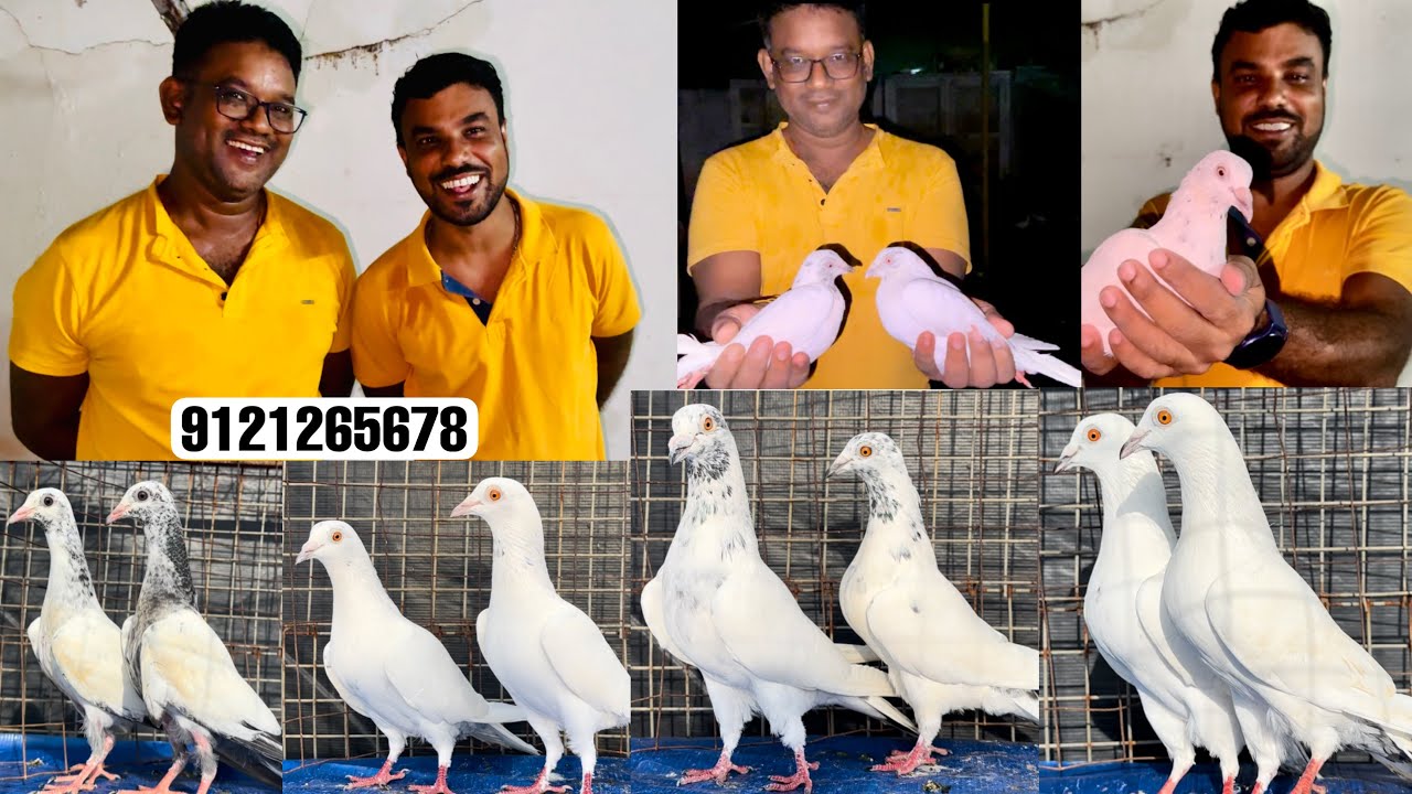 Tilak da and Avinash da from Kolkata has visited my loft in Guntur ( Andhra Pradesh )