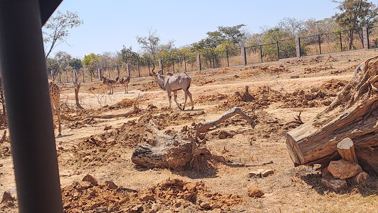 A Safari tour on the outstirts of Lusaka City.
