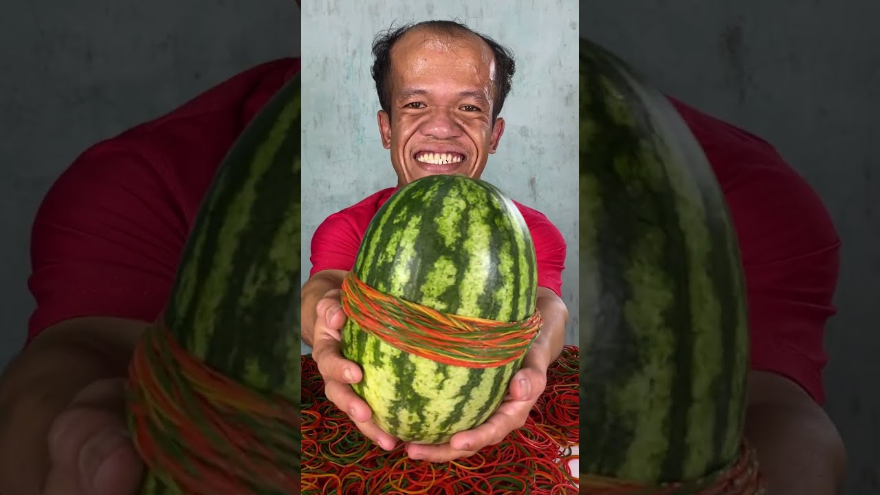 🔴 One Watermelon. Hundred of Rubber Bands. Pure Chaos - Mr 99cm Kindness