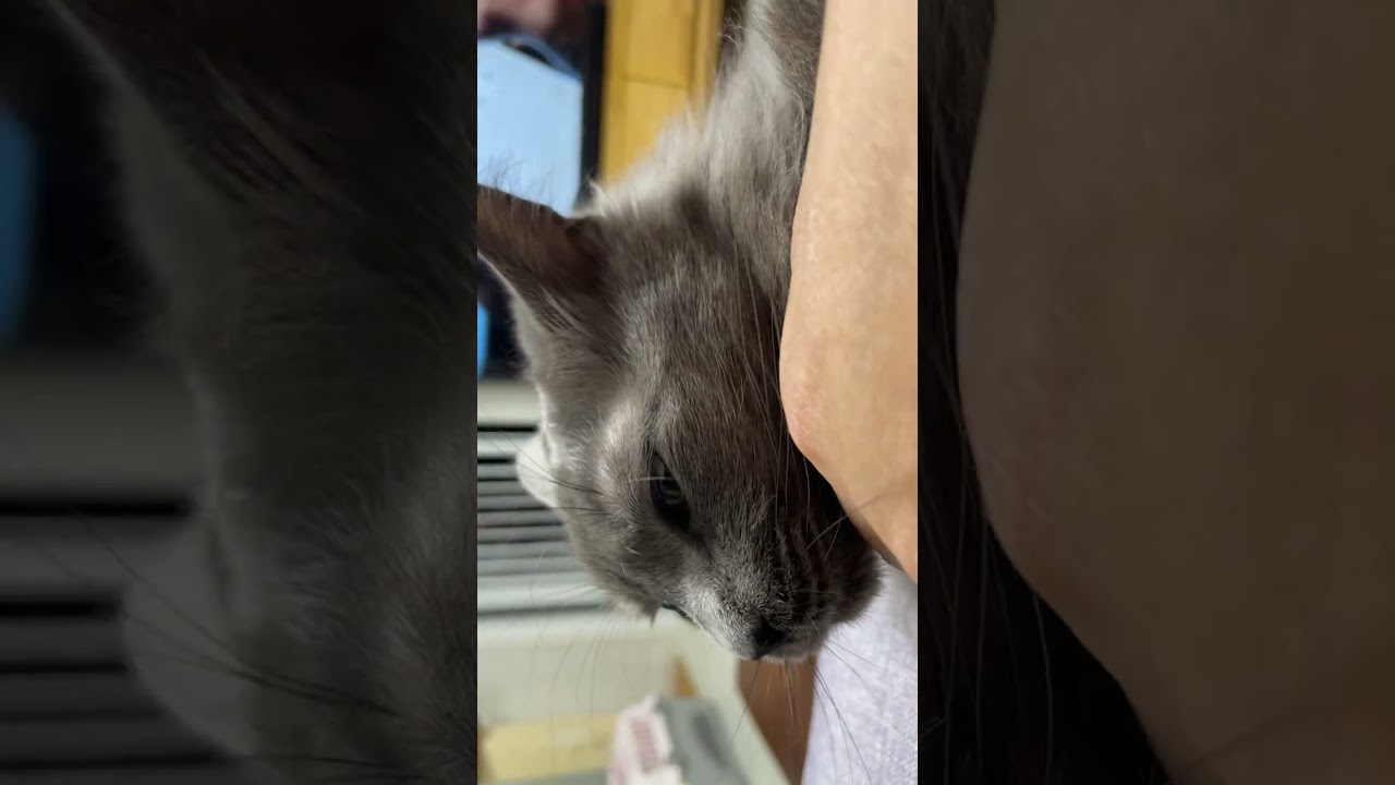 좋은 수면습관 (이거 보면서 잠든다)