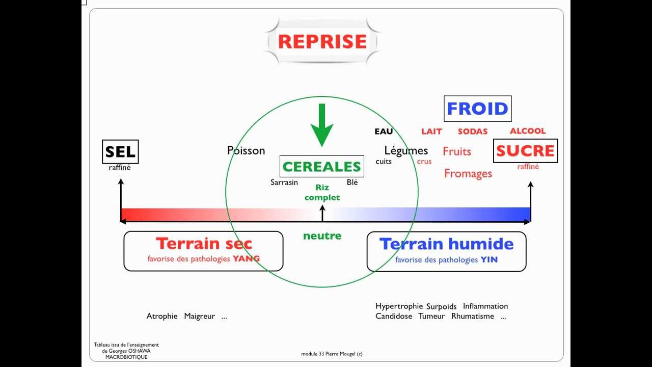 Introduction &agrave; la Macrobiotique