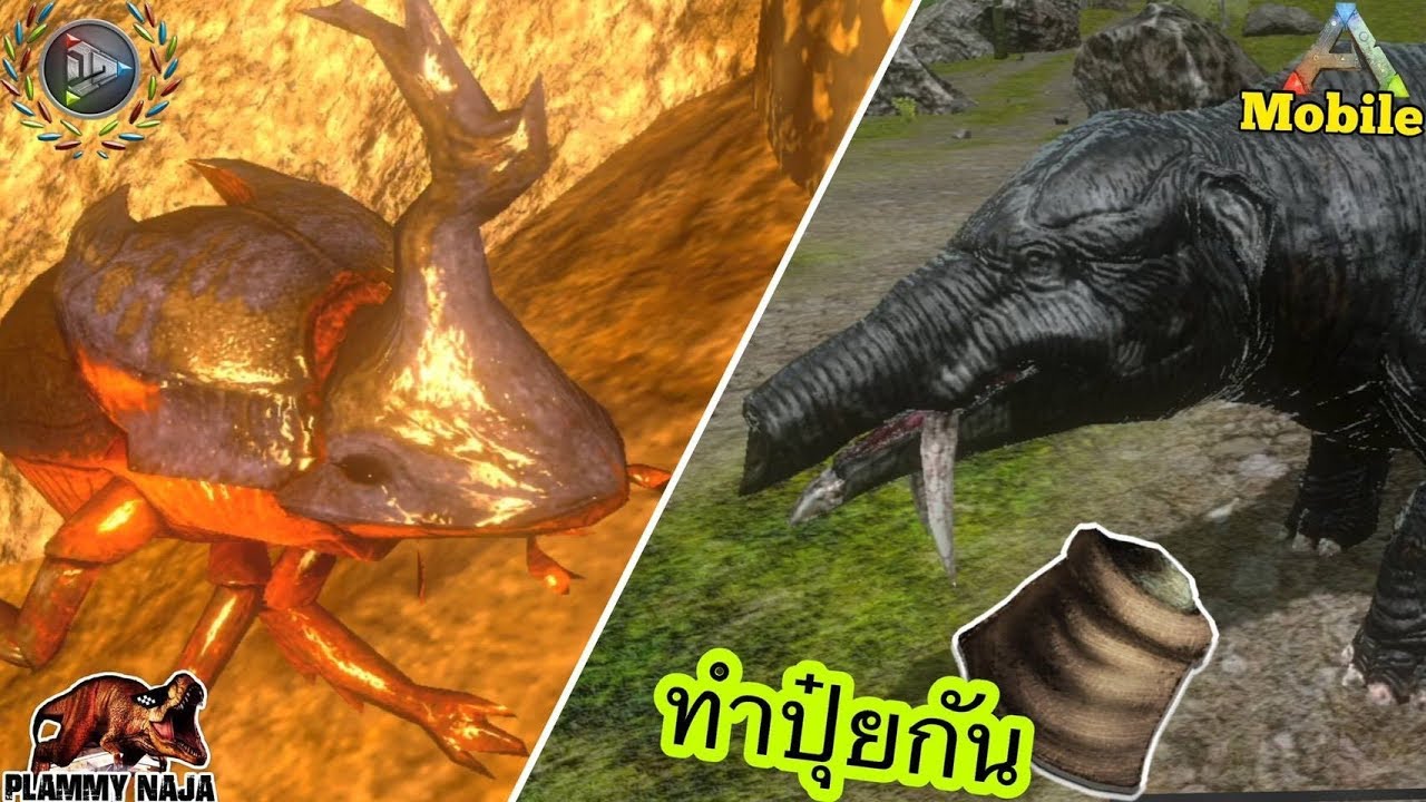 Ark Mobile มือถือ EP94 จับด้วงกับหมูมาทำปุ๋ยกันเถอะ[Dung Beetle & Phiomia Taming]