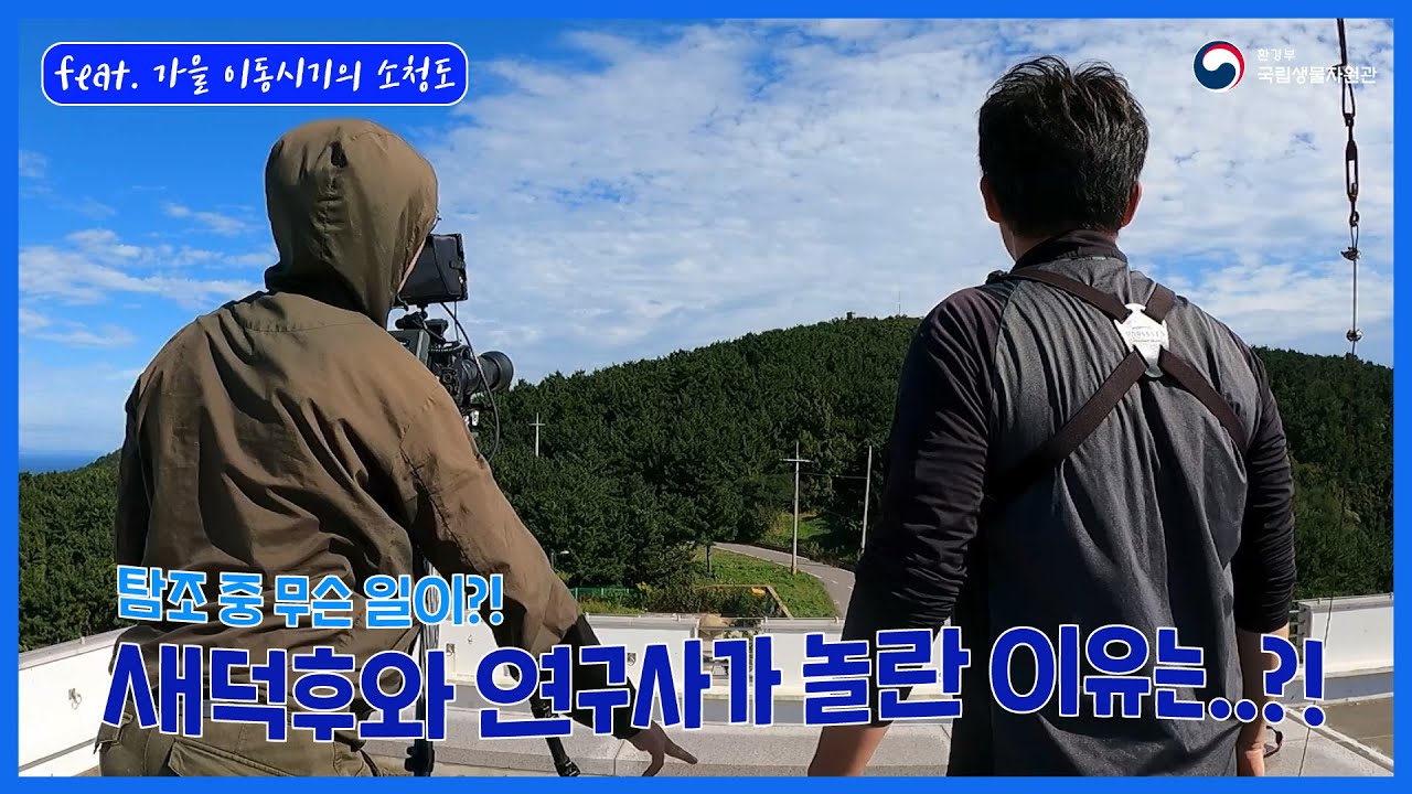 [국가철새연구센터 X 새덕후 콜라보 Ep.2] 놀람의 연속, 맹금류를 탐조하면 어떤 일이 생길까? 🦅 (feat. 가을 이동시기 | 관측이래 최대)