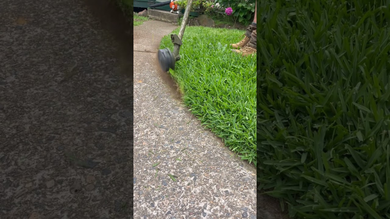 Edging curved Grass Lawn edges #edging #satisfying #grassmowing
