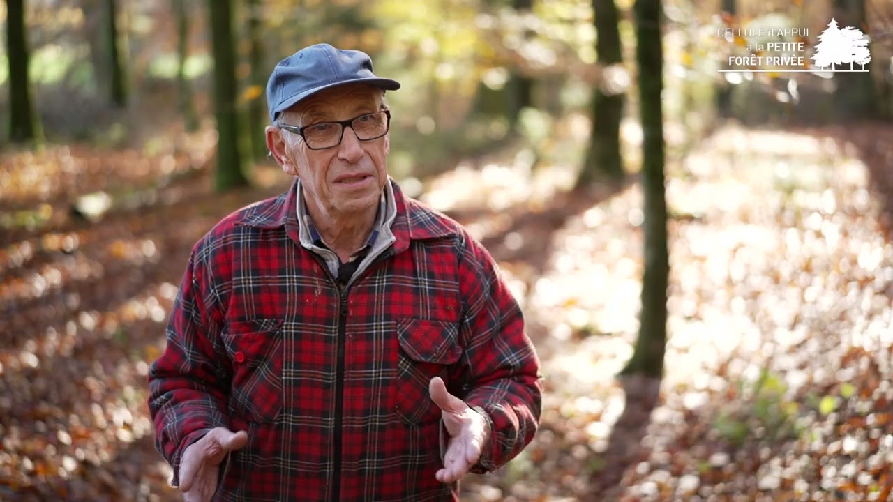 Faire son bois de chauffage et profiter de bons moments entre amis : Alain Vanomeslaeghe