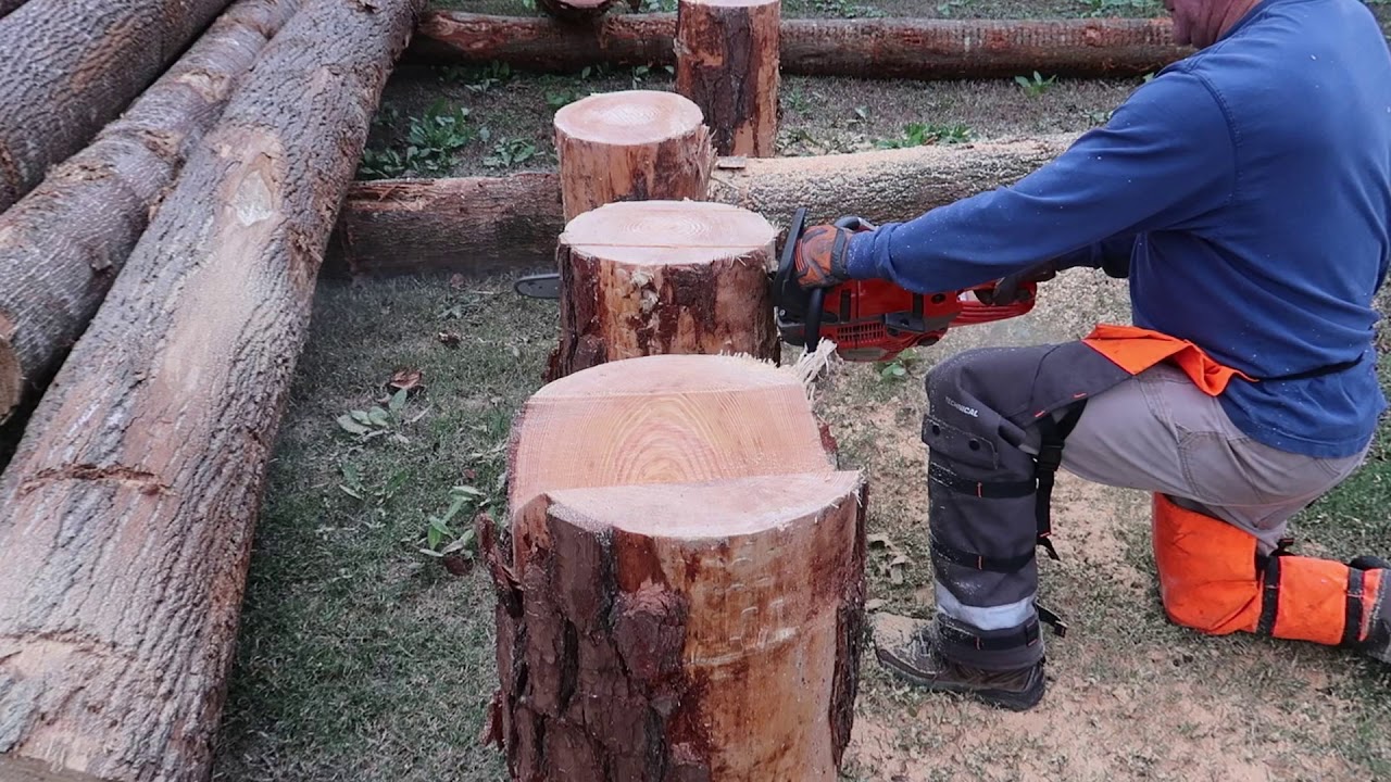 Getting ready for the chainsaw class