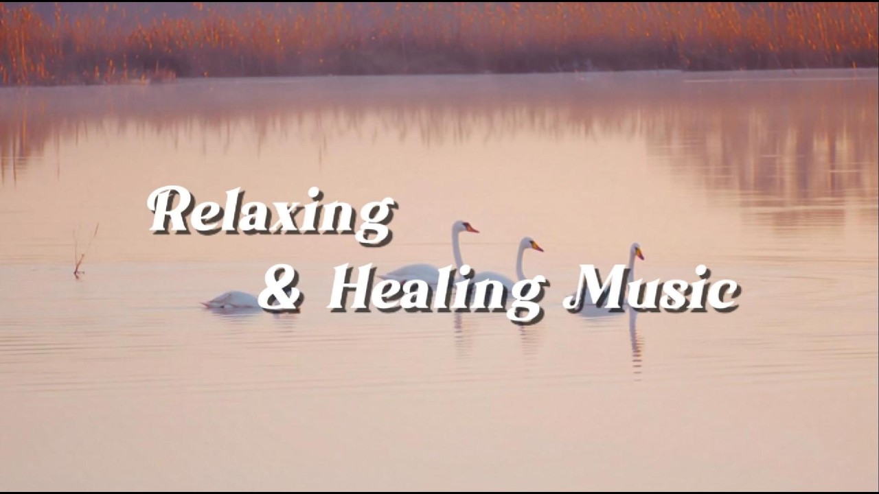 Relaxing Music for Sleep & Focus | Calm Your Mind, Study with Birds